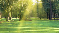 Plummer Merrill and Teague Funeral Homes